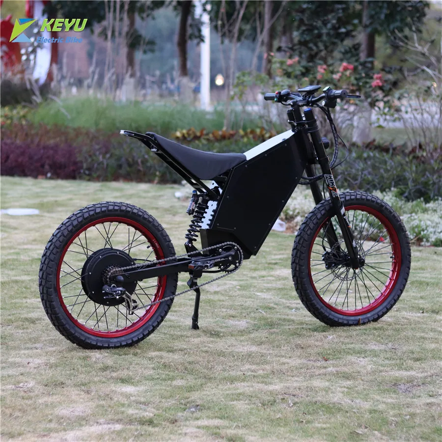 STEALTH QS ENDURO (15KW Hub Motor, 5KW Battery, 250 NM Torque