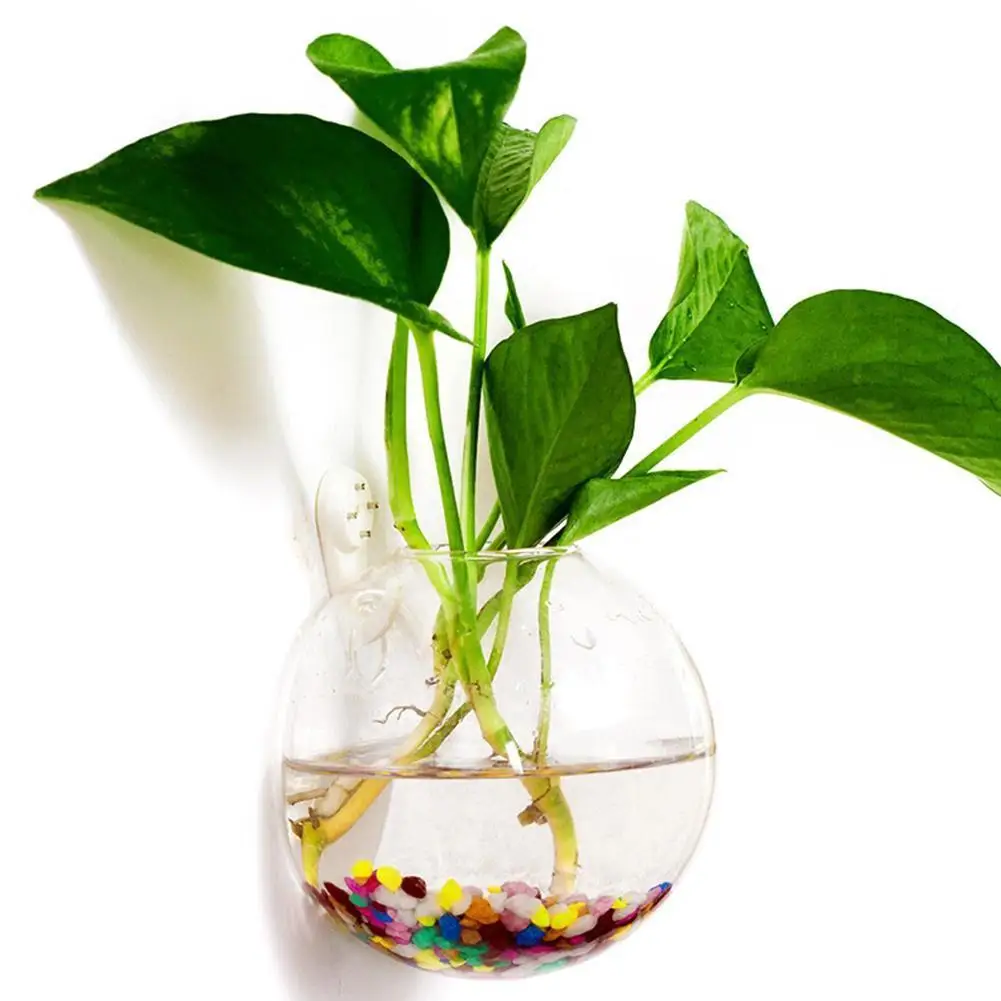 Fish Bowl Wall Hanging Fish Tank For Betta
