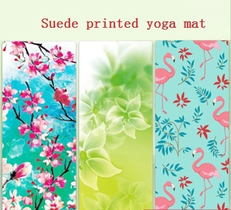 10427146570_736791274.400x400