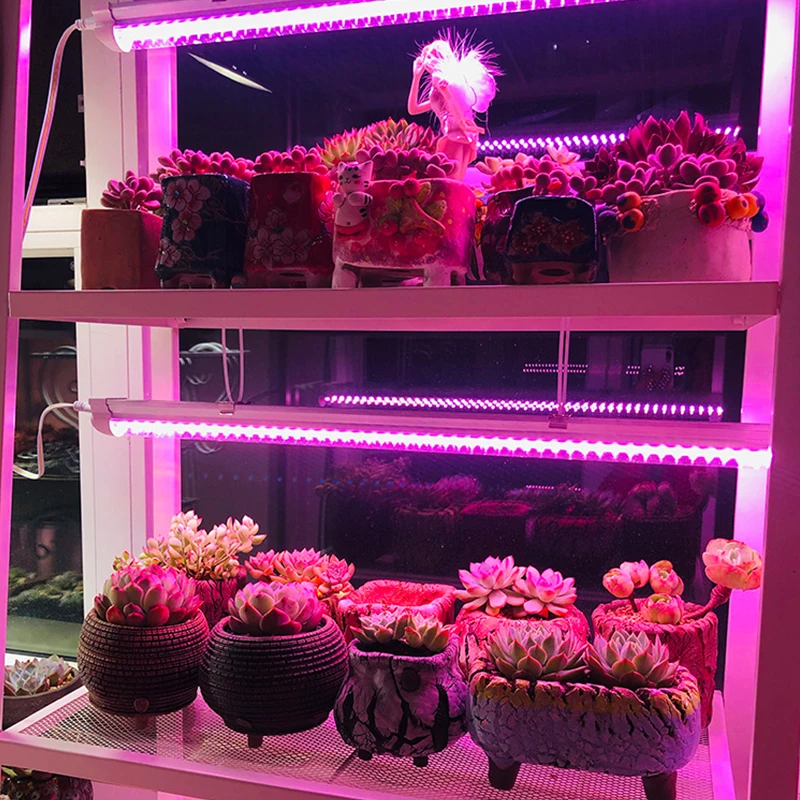 10 шт./лот COB Chip LED Grow Light полный спектр AC 220 В 110 50 Вт 30 20 фитолампа без необходимости
