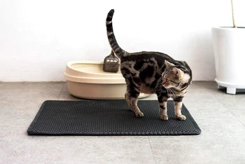 

Waterproof Pet Mat Double-deck For Dogs Cats Home Mats Easy To Clean Large and Deep Holes Trap Litter