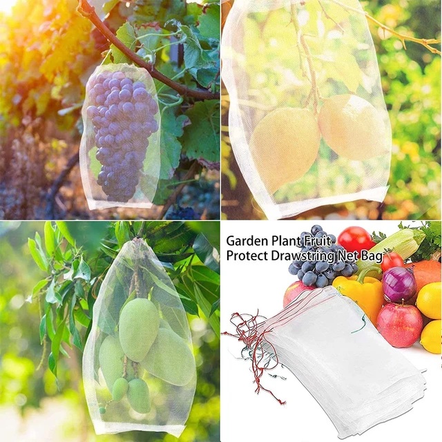 Filet Anti-Oiseaux Réutilisable pour le Jardin, Barrière pour Plantes,  Protection des Arbres Fruitiers, Semis, Plantes - AliExpress