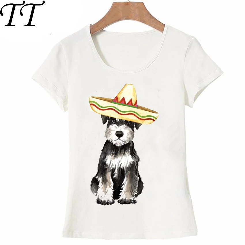 HTB1f5DAzKGSBuNjSspbq6AiipXaR