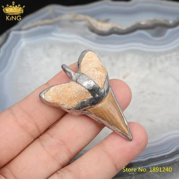 

5pcs Natural Shark Teeth Jaspers Pendant Charms For Necklace Making,Plated Tin Bails Reiki Animal Charms For DIY Jewelry Making