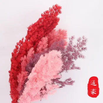 

Eternal Life peng lai song Eternal Flowers Gift Box Material Holiday Gift pei cai