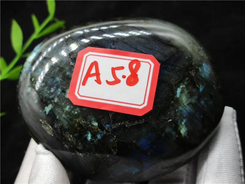 IMG_3162