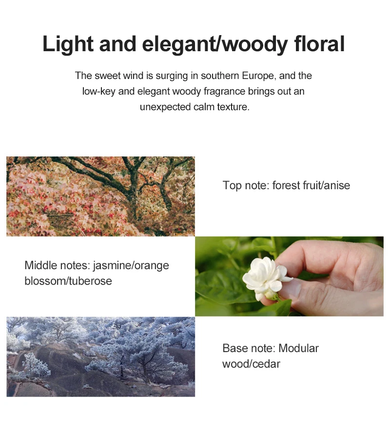 H212e9ec0df604245b67303dac9387a41y.jpg?width=800&height=892&hash=1692