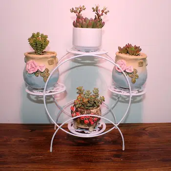 

Desktop Mini Flower Wearing Mail Office Sitting Room Balcony Window Small Pot Rack Shelf Ready, Fleshy