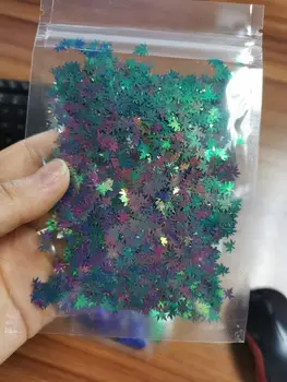 chameleon4