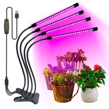 Tiras LED