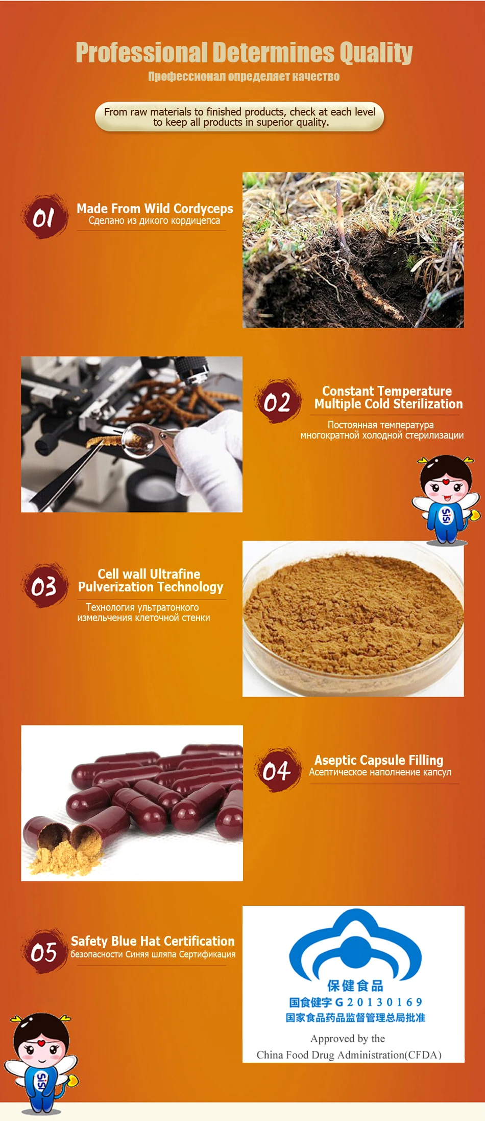 22_Cordyceps_Mycelum