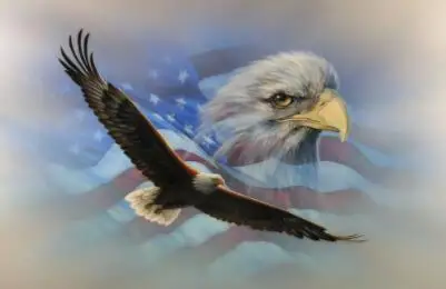 3x5ft polyester decorations flags banner with Patriotic bird flag | Дом и сад