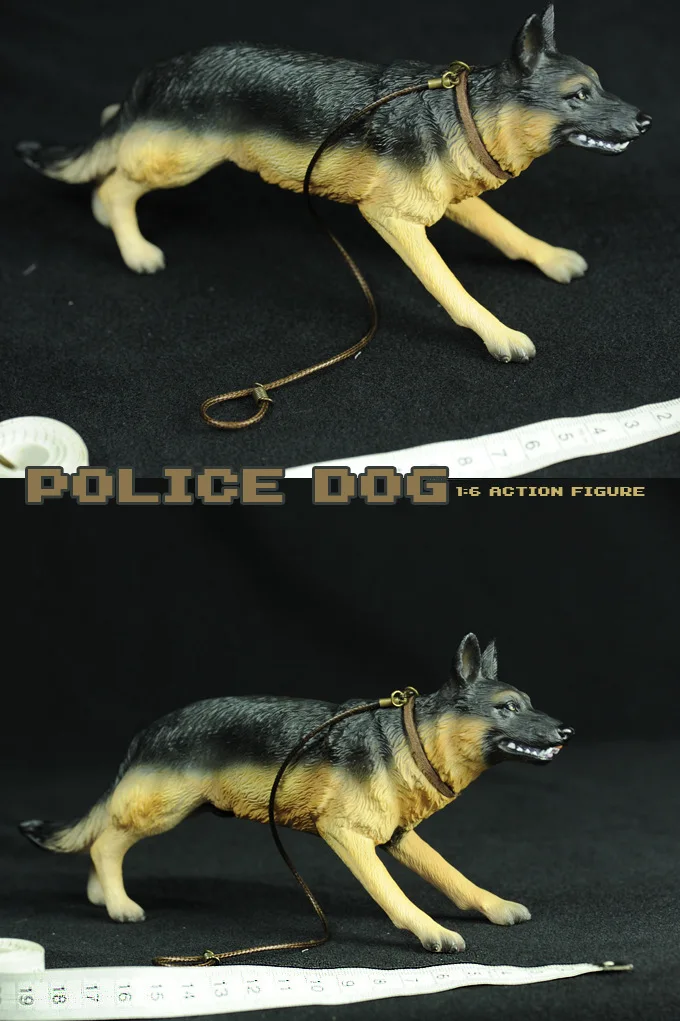 11317926697_1571570621