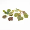 20 pieces Artificial leaves Simulation of green plants Christmas decorations for home Wedding decoration Fake leaves Candy boxes ► Photo 1/6