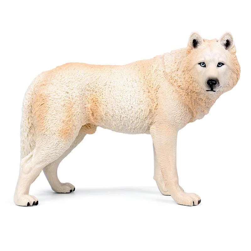 

Children's Solid plastic toy simulation wild animal wolf model toy new large male wolf model ornaments