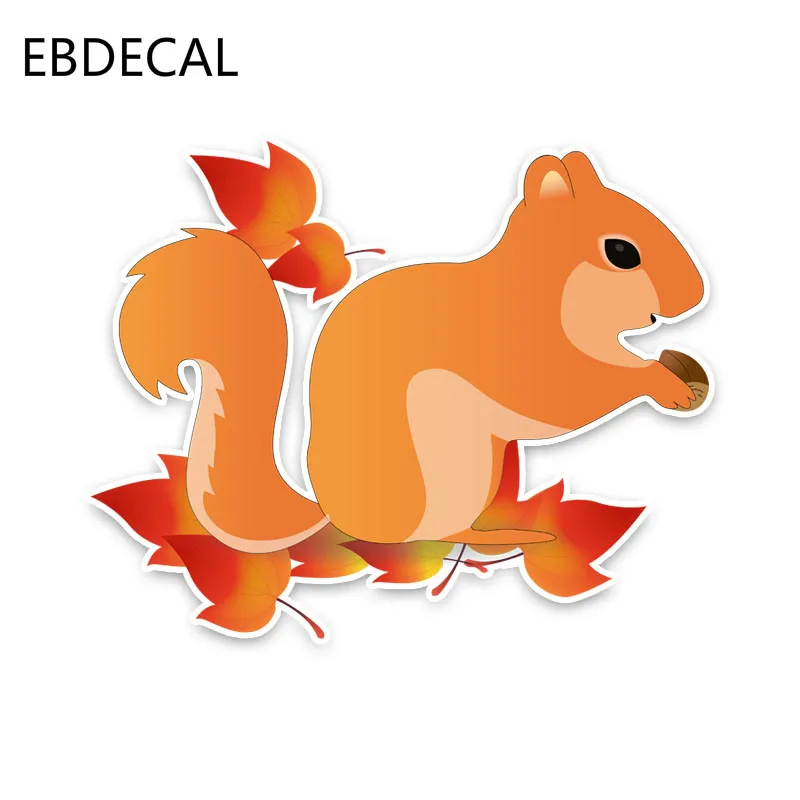 EBdecalCartoon Animal Squirrel ReflectiveFor Auto Car/Bumper/Window/Wall Decal Sticker Decals DIY Decor CT5159 | Автомобили и