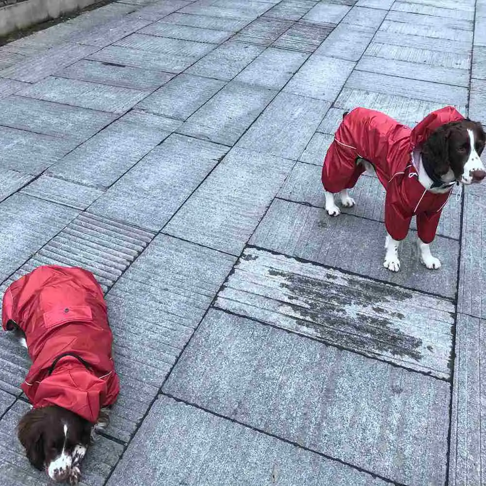 RAINCOAT873