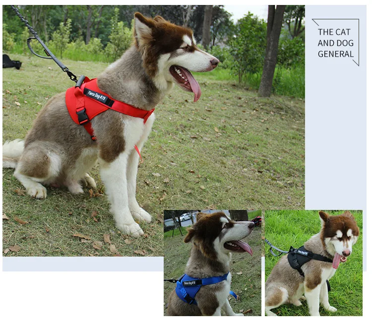 14416663006_1937179884