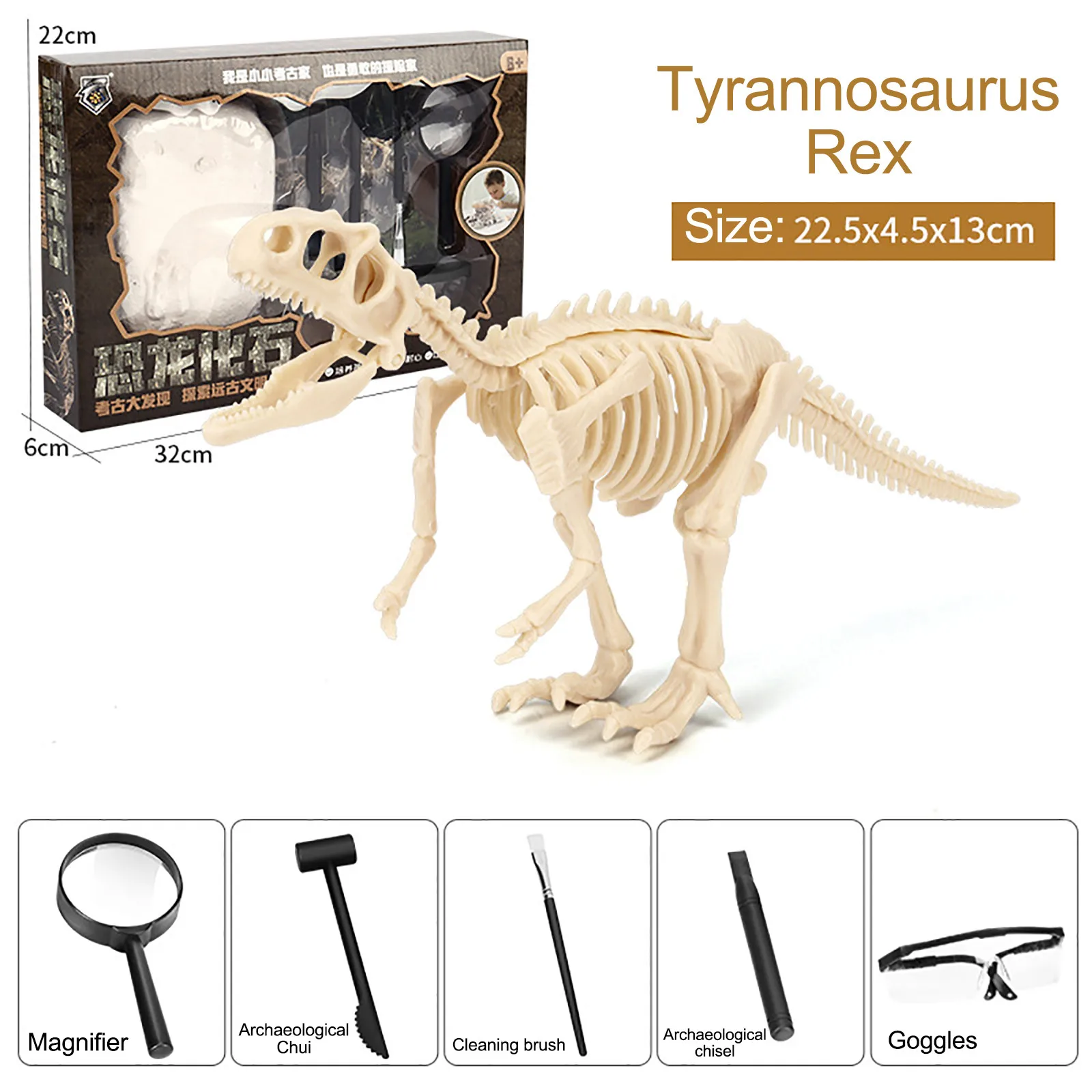 SAFIGLE Brinquedos Educativos Para Crianças Fósseis De Dinossauros 1Pc  Conjunto De Jogos Infantis Para Crianças Brinquedos Educativos Científicos  Para Escavação Modelos De Dinossauros