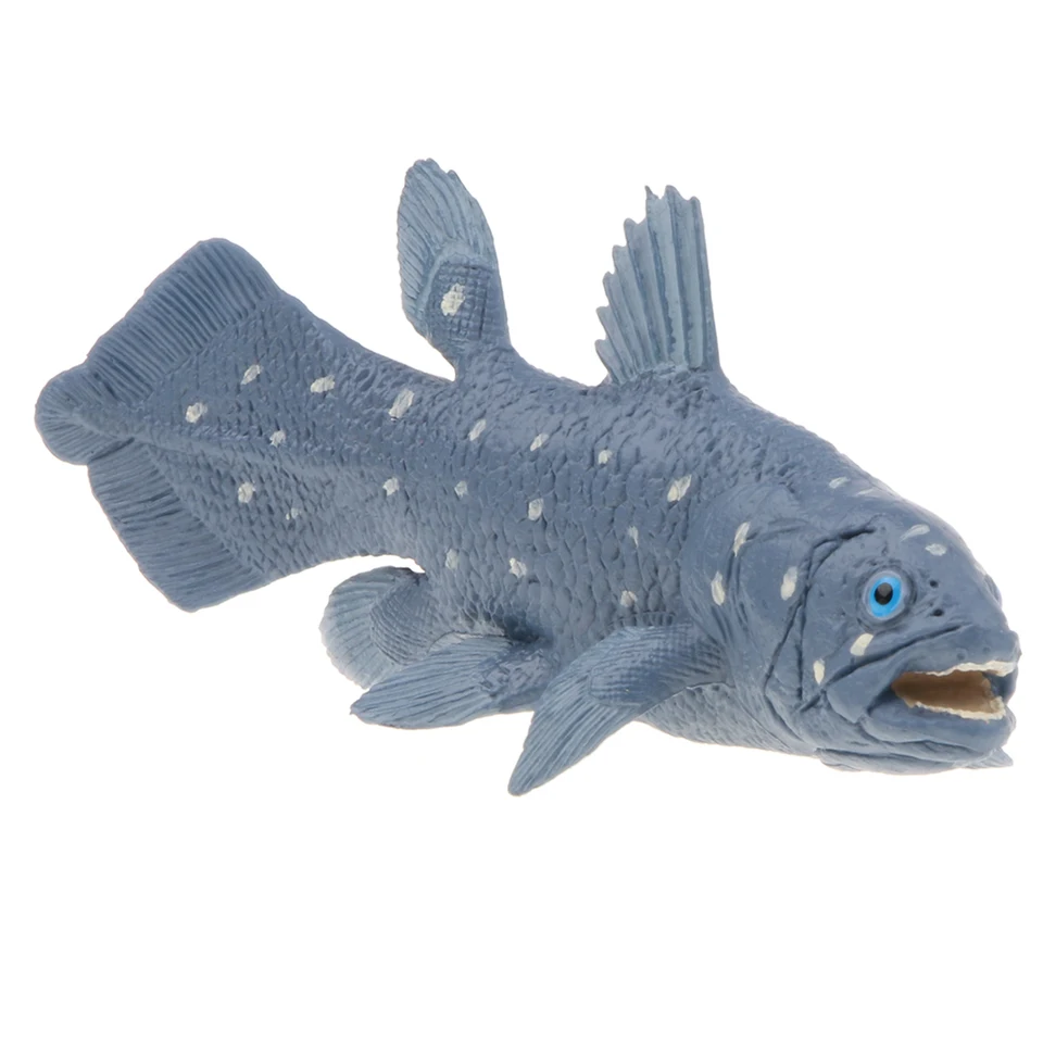 coelacanth toy