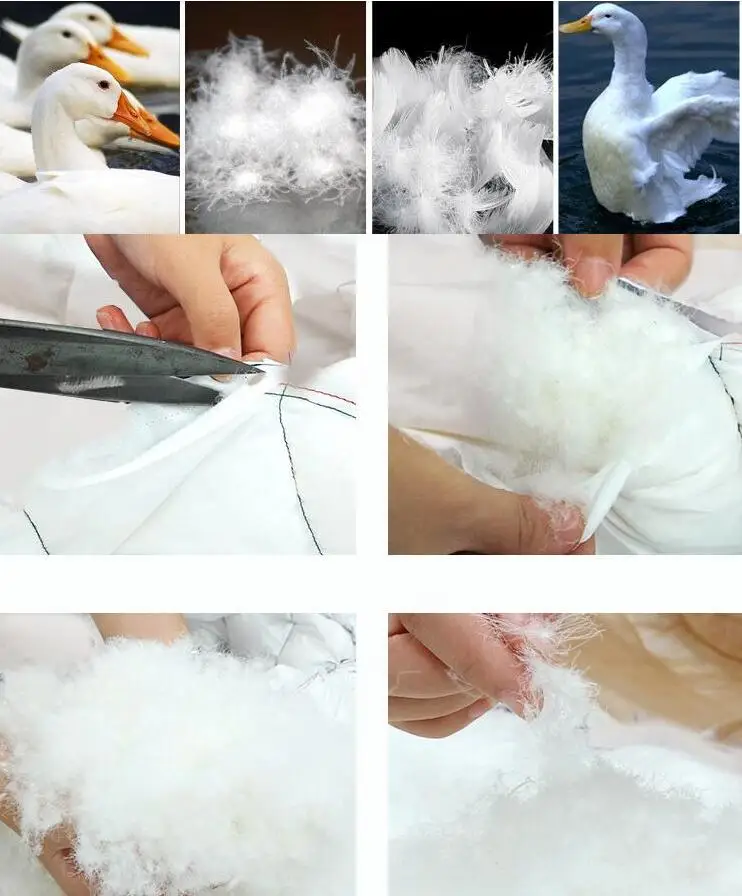 QQ截图20191019095233