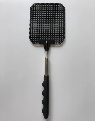 0006