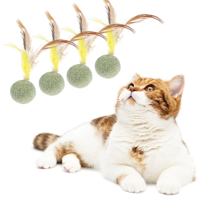 4pcs Mixed Funny Plastic Golf Ball with Feather Cat Toy Interactive Kitten Cat Teaser Ball Toy Pet Supplies 3
