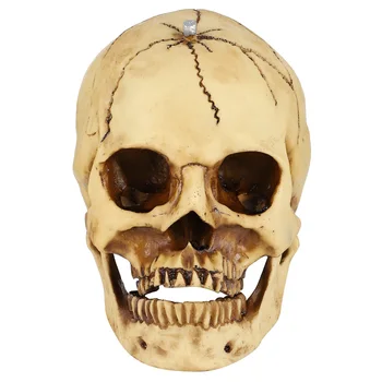

1 Pc Halloween Resin Adornment Durable Horror Skull Head Decor for Bar Home Haunted House