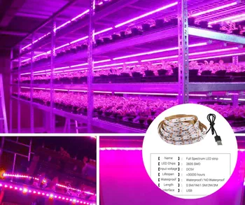 

2020 New Self-adhesive Plant growth light strip DC5V USB plant lamp 2835 Chip Full Spectrum 60 LEDs/m Waterproof
