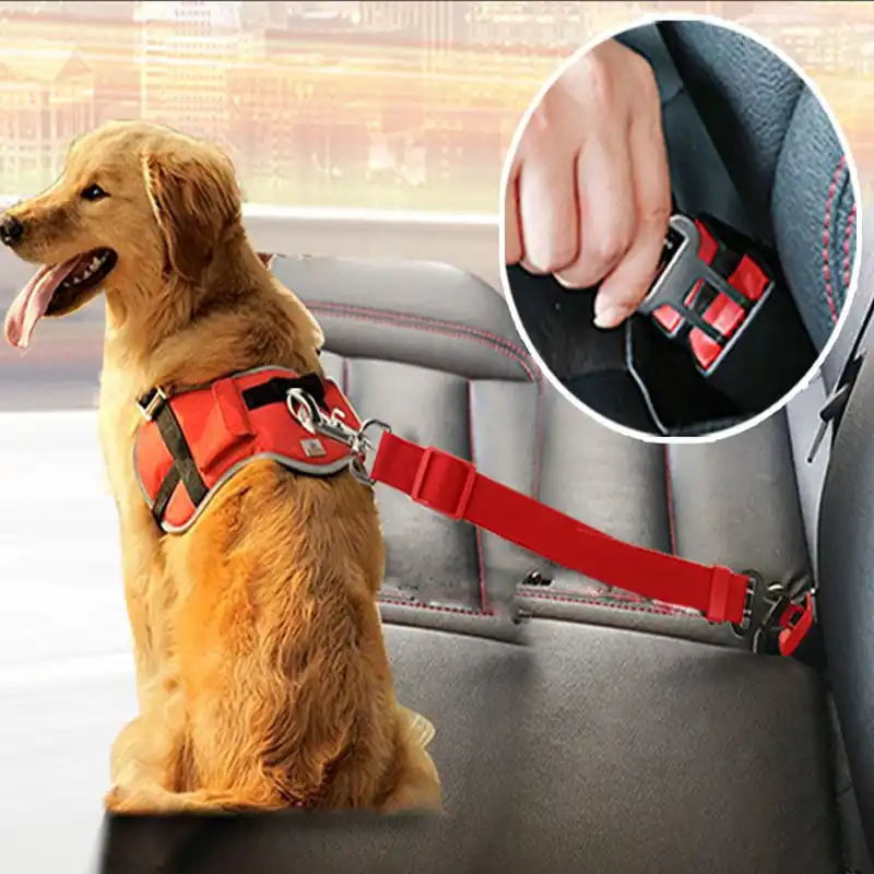 Ceinture De Securite De Voiture Pour Animal De Compagnie Pour Chat Et Chien Materiau De Haute Qualite Harnais Reglable Corde En Plomb Aliexpress