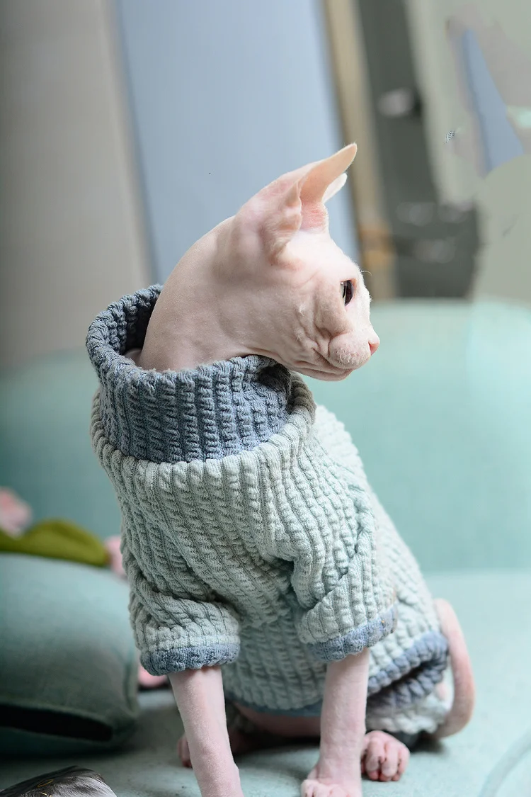 ペット服ヘアレスキャット服デボンスフィンクスシャム猫暖かい犬の服ペット服小型犬のセーター 猫の服 Aliexpress ペット服ヘアレスキャット服デボンスフィンクスシャム猫暖かい犬の服ペット服小型犬のセーター 猫の服 Aliexpress