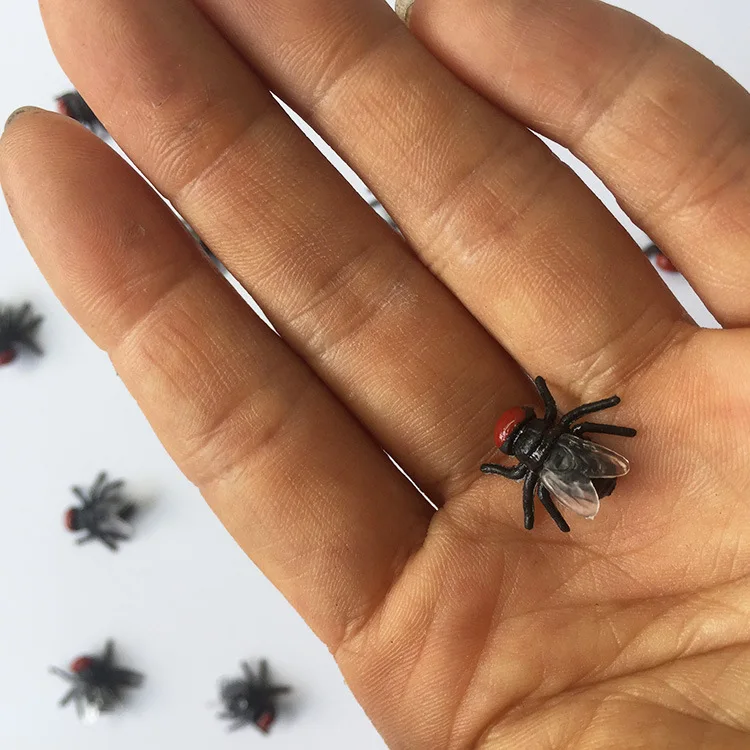 8913386416_326025122