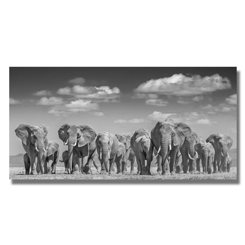 Современная картина с рисунком животных печать плакатов Quadros Wall Art Африканский