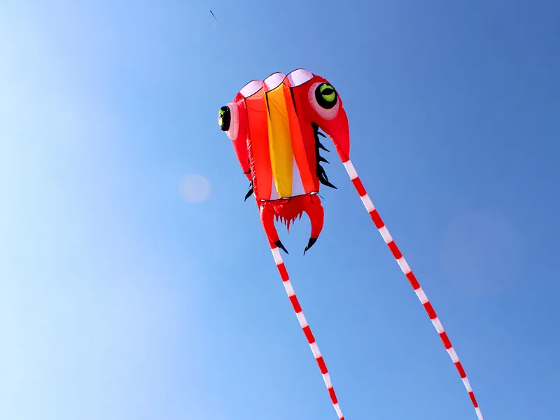Высокое качество большие трилобиты мягкий воздушный змей ripstop нейлон летающий змей из ткани hcxkite завод tadpole наружные игрушки