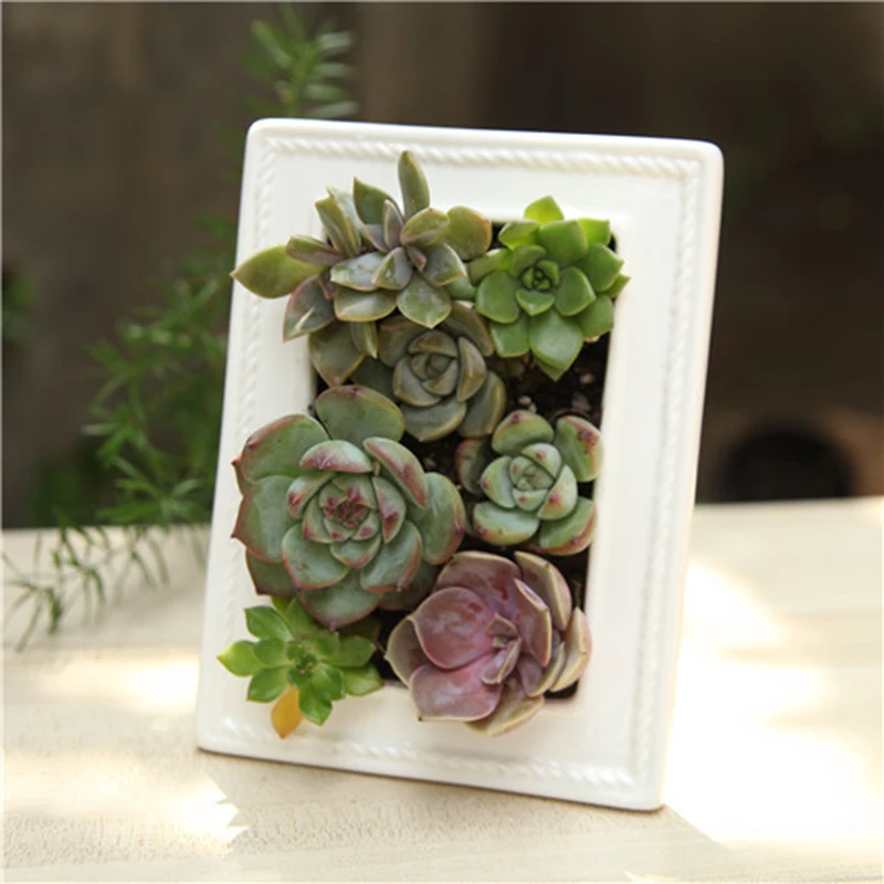 

Photo frame flower pot desktop white ceramics flower arrangement vase succulent plant pot home office table decor