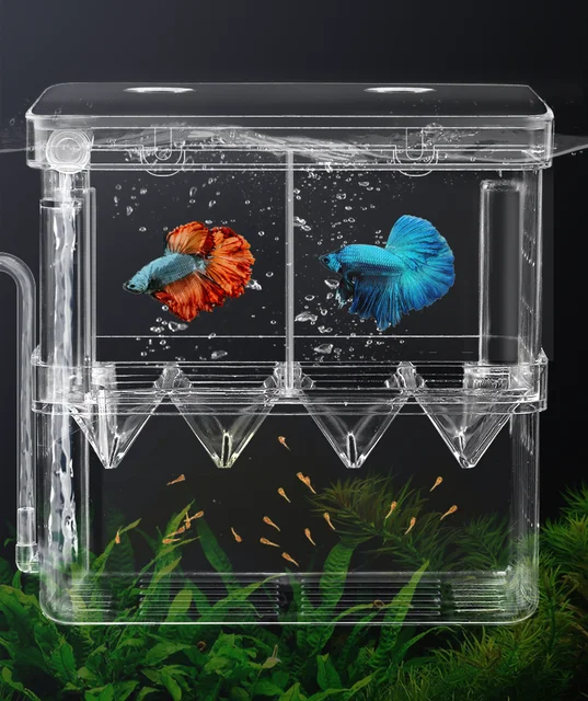 Poker Fish Mosche Artificiali Per Pesca In Acqua Salata - Gamberetti EP, Taglia 2, Per Tarpon, Snook, Pesce Osso E Permesso Fish Pond Fishing - Foto 3