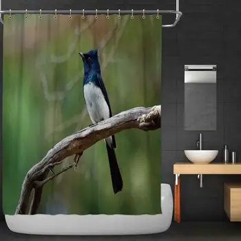 

okjeff Flycatcher Myiagra cyanoleuca Male is Found in Australia Fabric Shower Curtain,037419 for Bathroom,72''W x 72''H