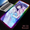 Computer Peripherals