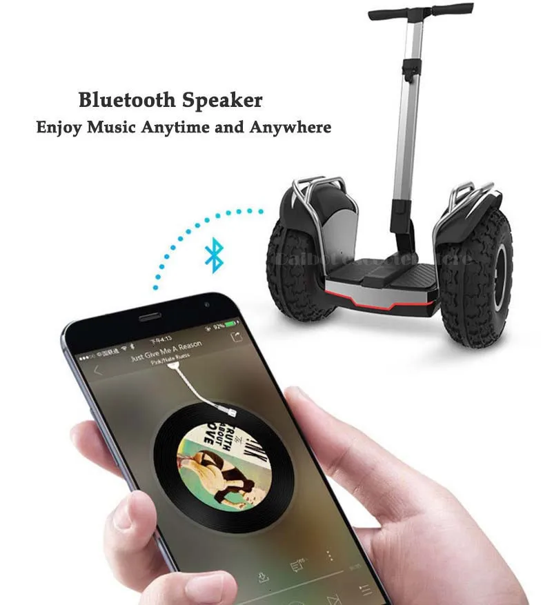 Daibot Off Road Electric Scooter 19 Inch Self Balancing Scooters 1200W2 Adults Skateboard Hoverboard With BluetoothAPP (3)