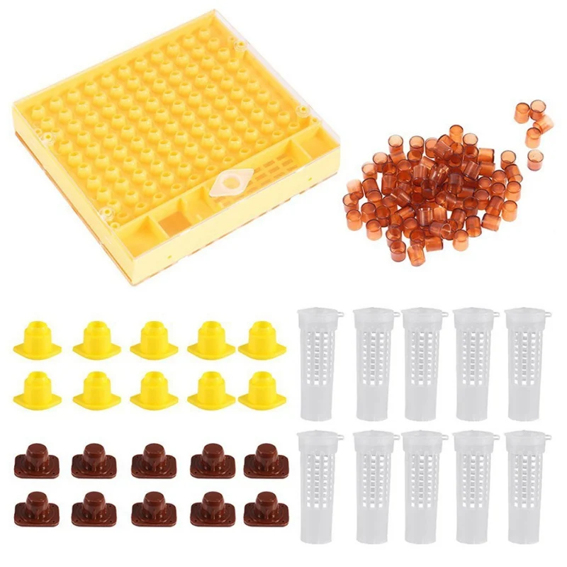 

Beekeeping Tools Set Queen Rearing System Cultivating Box 100 Cell Cups Bee Nicot Complete Catcher Cage Beekeeping Equipment