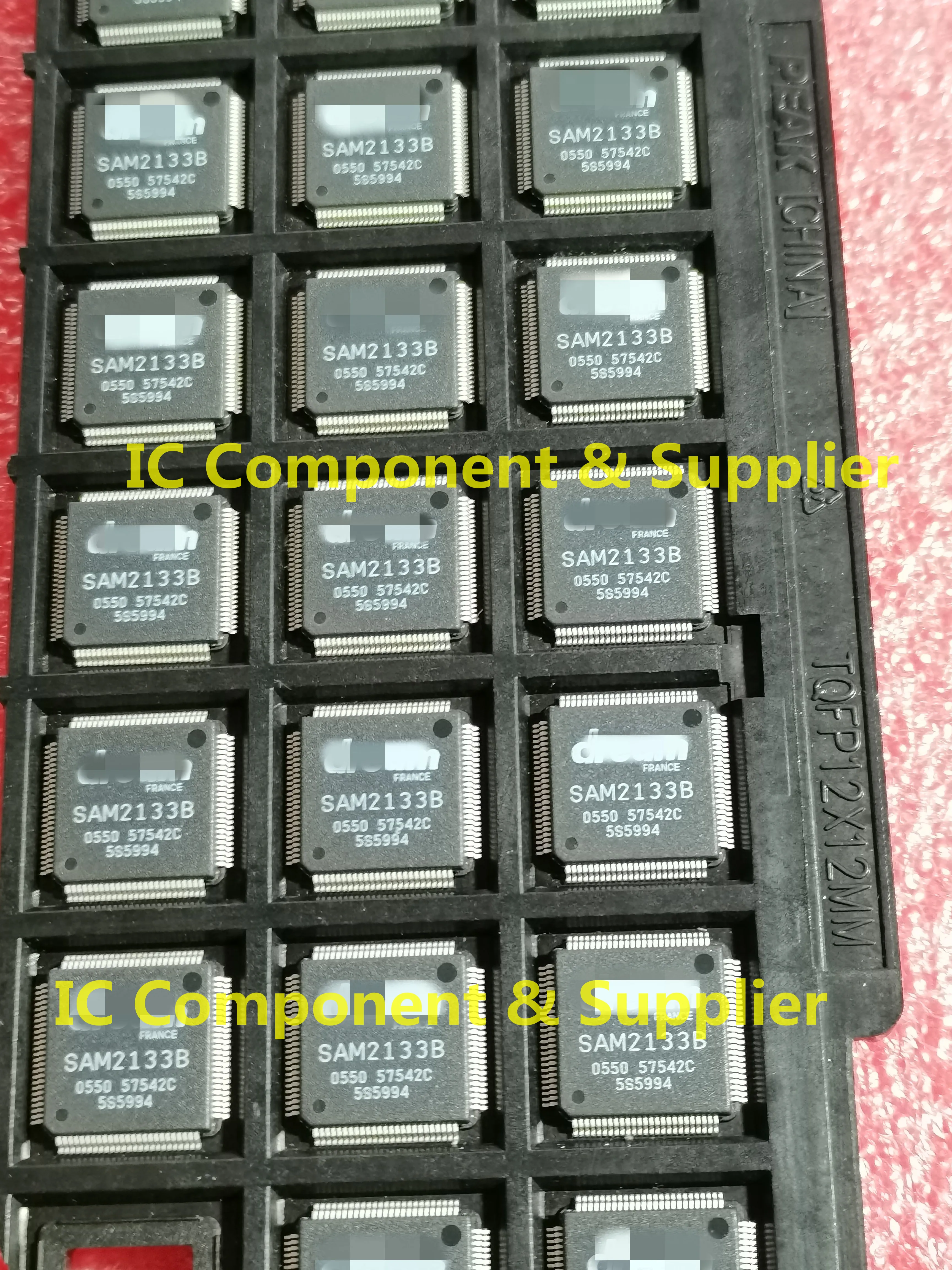 

SAM2133B TQFP100 NEW AND ORIGINAL Standard Not Used 5PCS OR 10PCS/LOT
