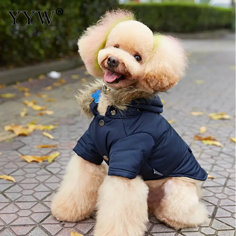 Одежда для собак зимняя теплая одежда для собак Ropa Perro одежда толстовки для маленьких средних собак кошка собака продукция для питомцев