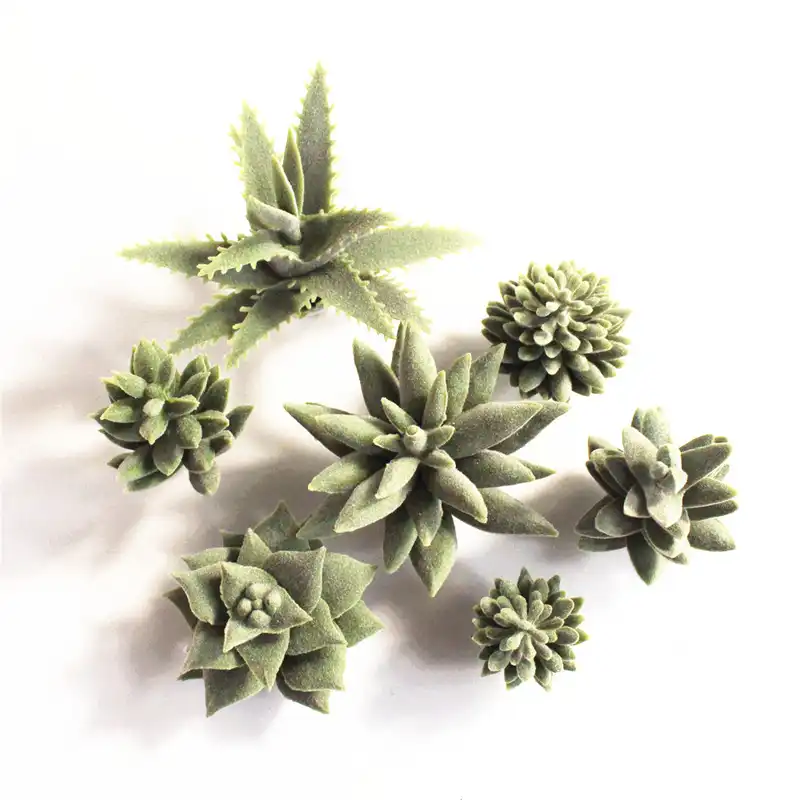 Магазин искусственных растений Декор суккуленты цветочный сад свадьбы