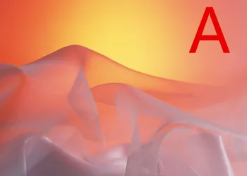 

Clothing Accessories / Garment Accessories & Textiles / Mesh Garment Fabric T320500150