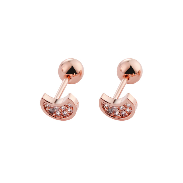 Cartilage Helix Tragus Stud Earrings Ear Nail Stainless Steel Bar Piercing Crystal Body Jewelry Accessories Gifts