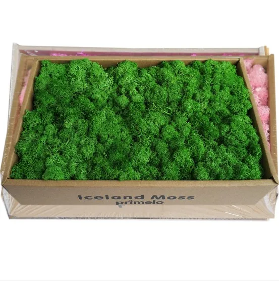 green 200 г/упак. искусственные растения серьги цвета мха из натурального агата трава DIY поддельная Цветочная композиция украшения дома сада Ландшафтные аксессуары хорошая упаковка - Цвет: green