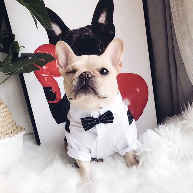 Ropa Formal para perro mascota, camisa de boda para Bulldog Francés,  esmoquin con corbatín, traje de fiesta de mascotas, traje divertido para  gato - AliExpress