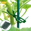 Garden Supplies