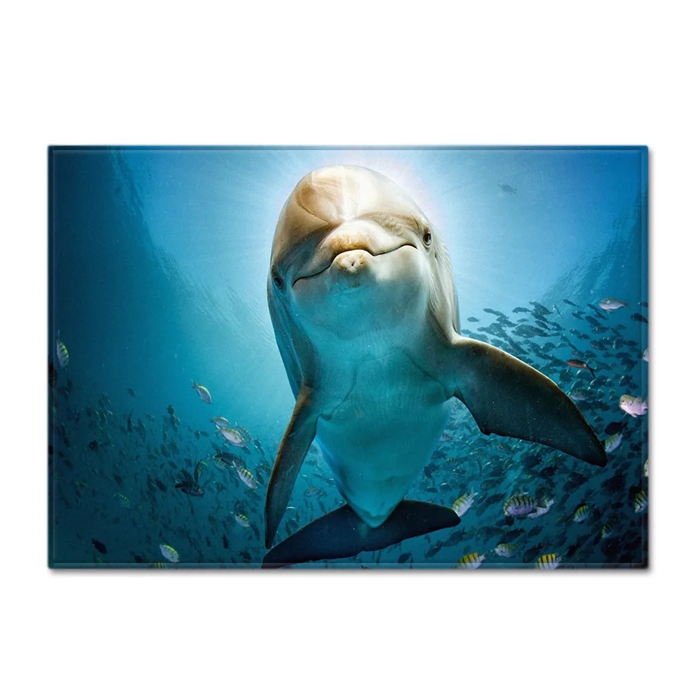 The dolphin a fish. Питание дельфинов. Рыбка дельфин. Кормление дельфинять. Что едят дельфины.