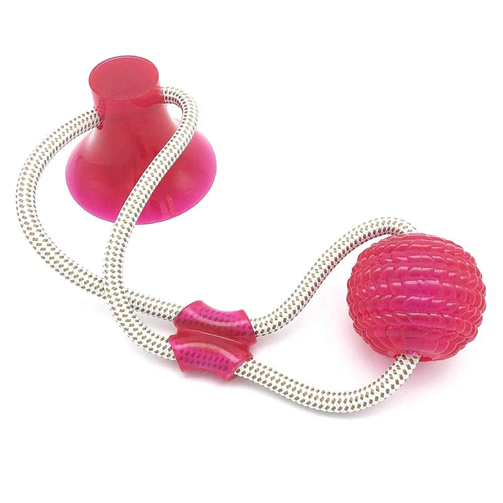 

Interactive fun Pet toy with suction cup dog push toy with TPR ball Pet Tooth Cleaning/Chewing/Playing IQ Treat Ball